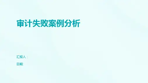 审计失败案例分析