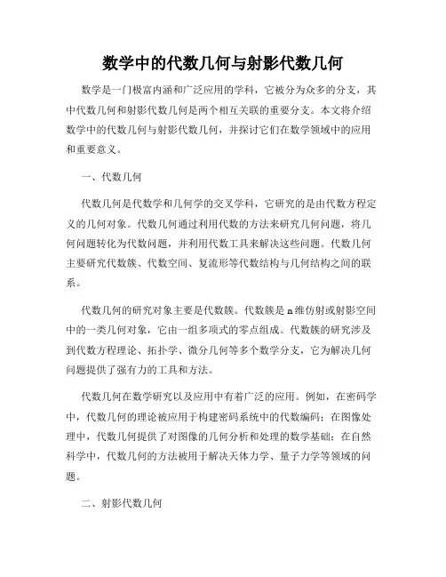 数学中的代数几何与射影代数几何