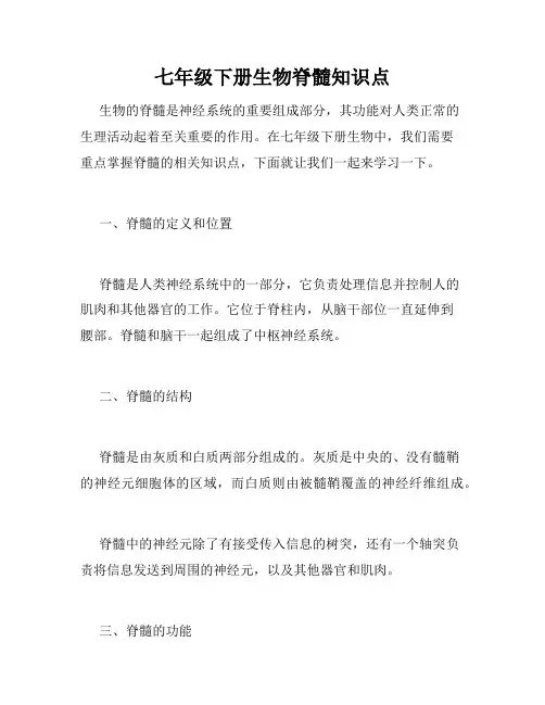 七年级下册生物脊髓知识点