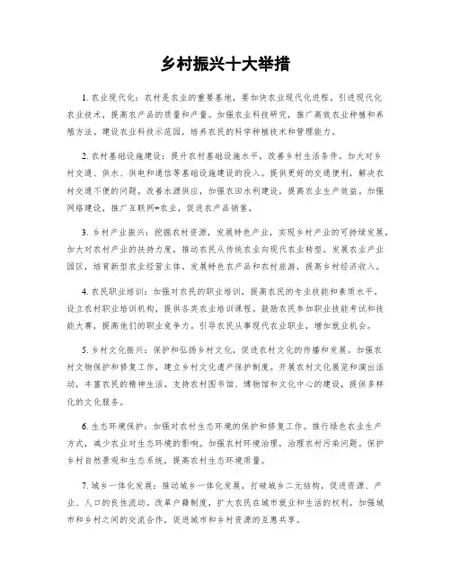 乡村振兴十大举措