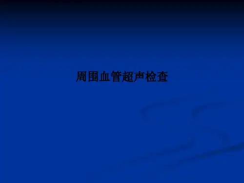 周围血管超声检查
