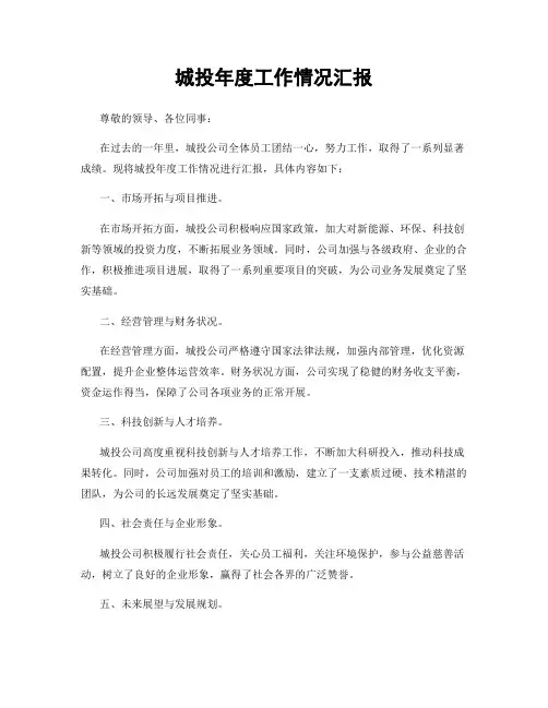 城投年度工作情况汇报