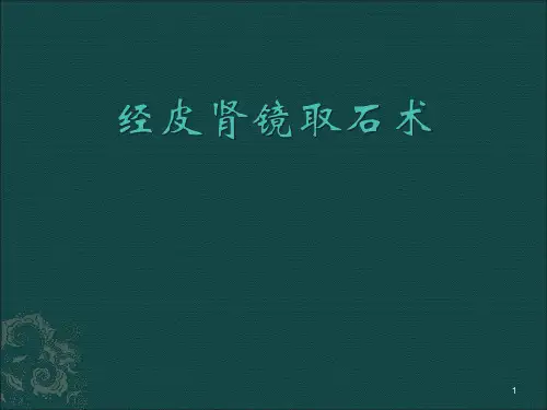 经皮肾镜技术ppt课件