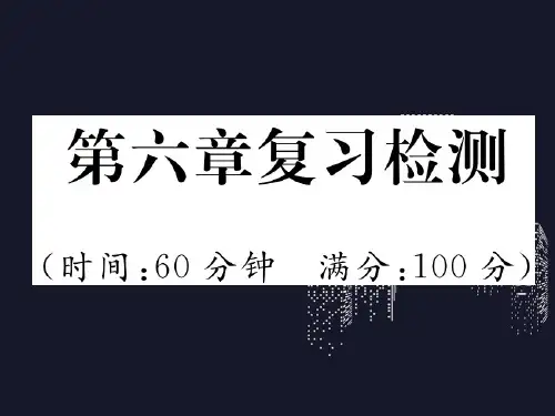 小升初语文总复习精练课件-第6章口语交际与综合性学习复习检测人教新课标(共13张PPT(完整版)6