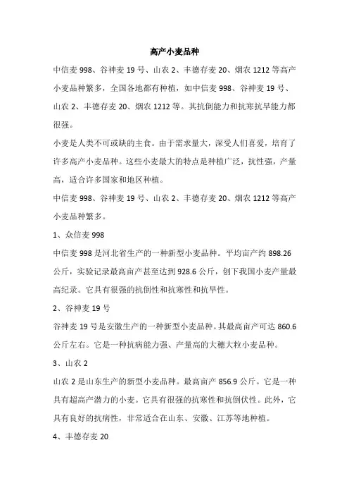高产小麦品种