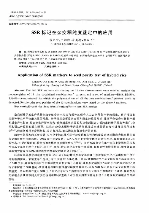 SSR标记在杂交稻纯度鉴定中的应用