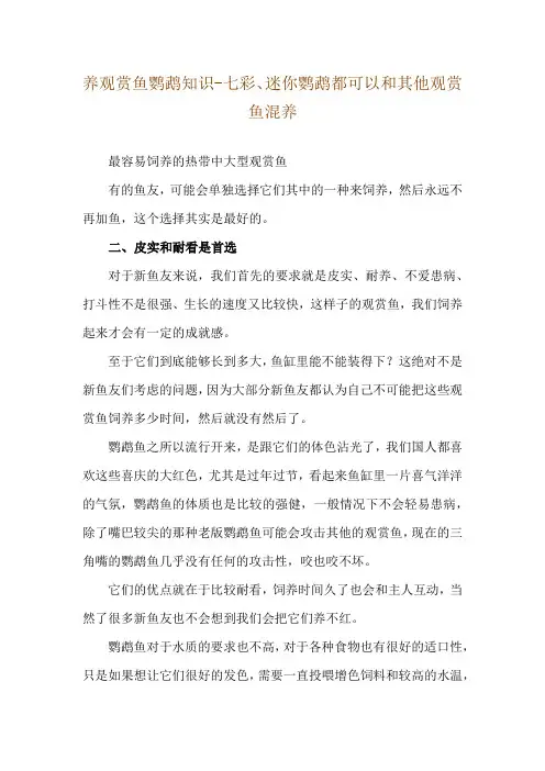 养观赏鱼鹦鹉知识-七彩、迷你鹦鹉都可以和其他观赏鱼混养