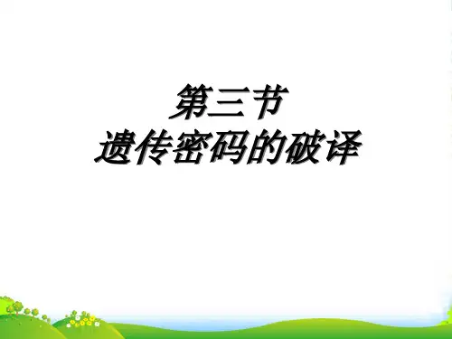 高中生物《第四章 第三节 遗传密码的破译(选学)》课件3 新人教必修2