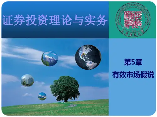 第5章 有效市场假说