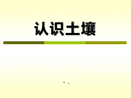 《认识土壤》PPT课件