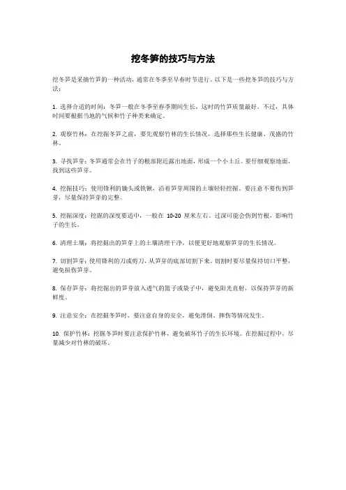 挖冬笋的技巧与方法