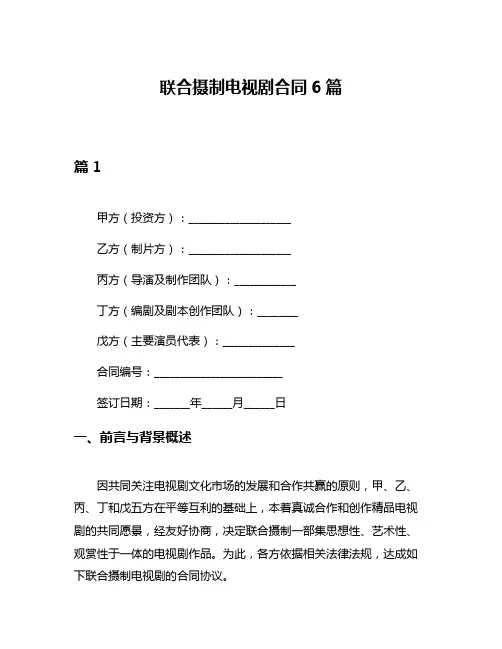 联合摄制电视剧合同6篇