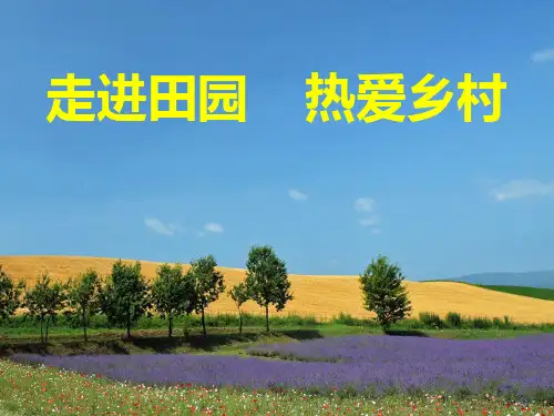 美丽的田园风光PPT课件