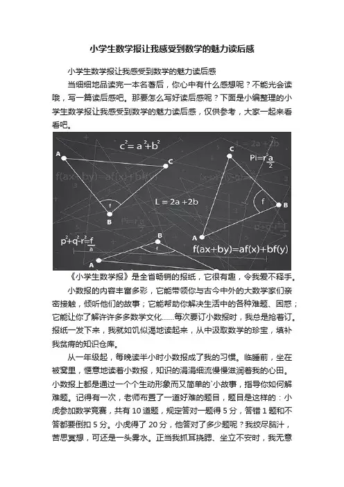 小学生数学报让我感受到数学的魅力读后感