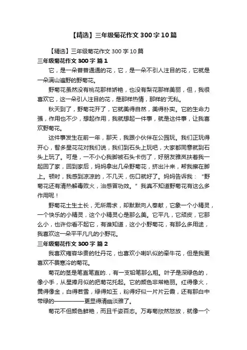【精选】三年级菊花作文300字10篇