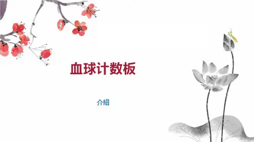 血球计数板 