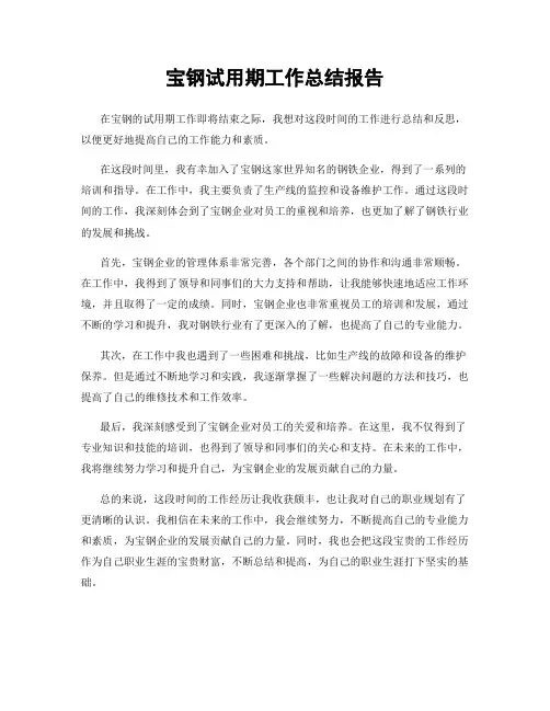 宝钢试用期工作总结报告