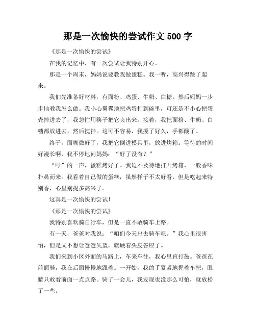 那是一次愉快的尝试作文500字