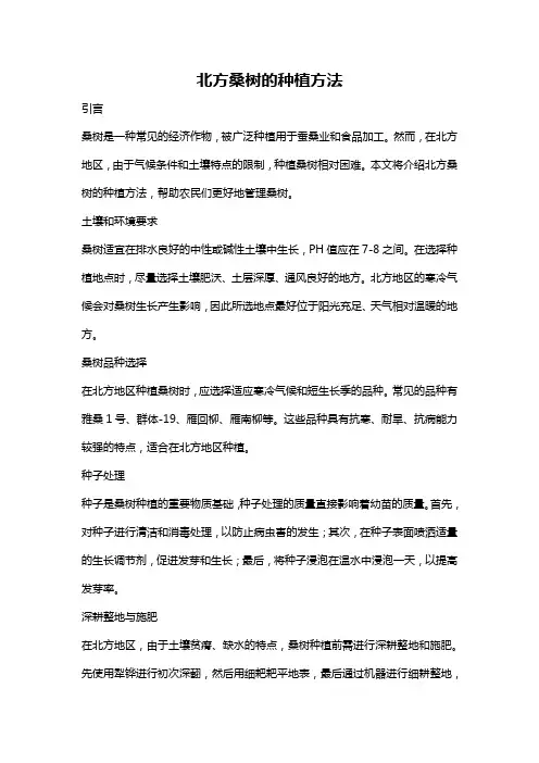 北方桑树的种植方法