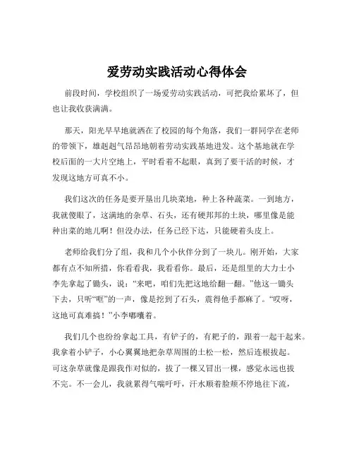 爱劳动实践活动心得体会