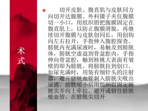膀胱切开术优秀课件