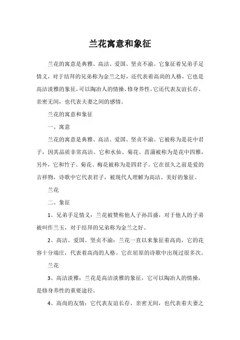 兰花寓意和象征