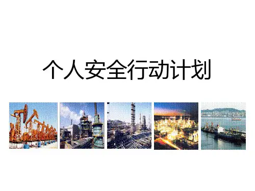 个人安全行动计划