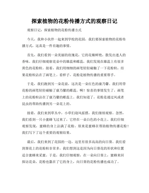 小学三年级作文探索植物的花粉传播方式的观察日记