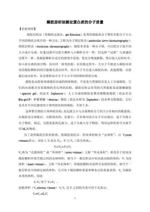 凝胶层析法测定蛋白质分子量