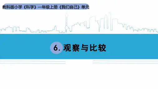 教科版科学一年级上册2.6《观察与比较》课件