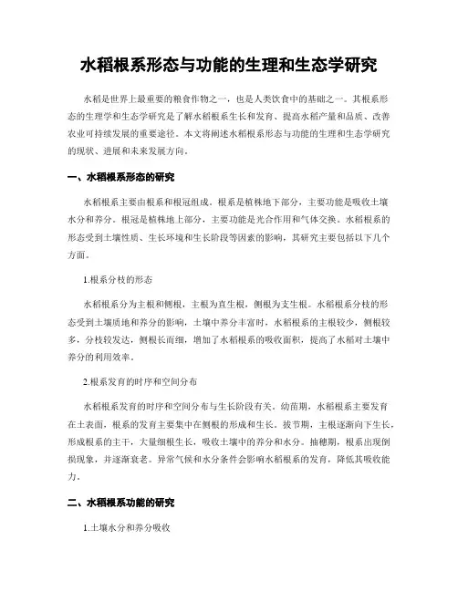 水稻根系形态与功能的生理和生态学研究