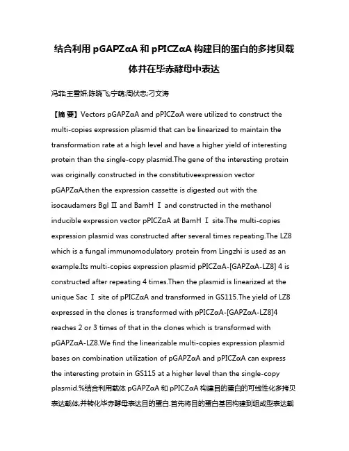 结合利用pGAPZαA和pPICZαA构建目的蛋白的多拷贝载体并在毕赤酵母中表达