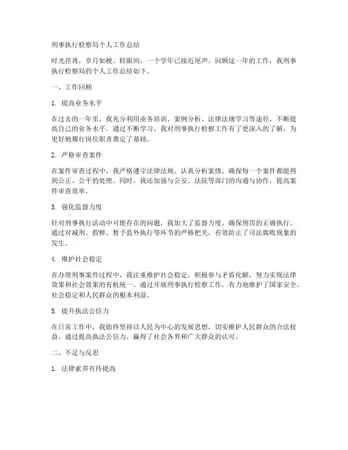刑事执行检察局个人工作总结