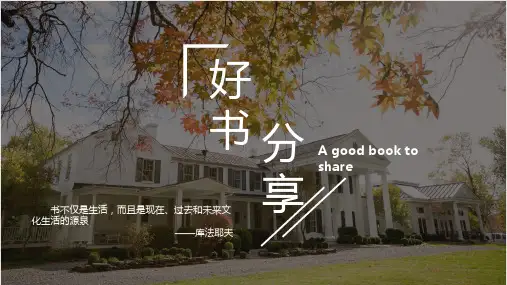《弗朗西斯·斯科特·基·菲茨杰拉德》好书分享