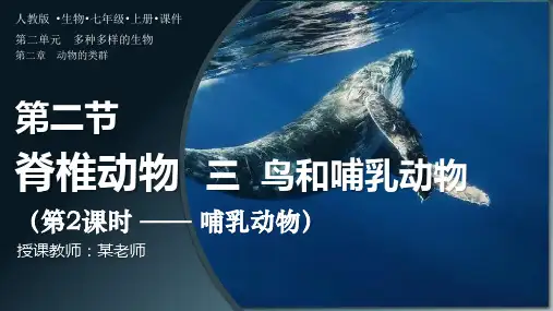 人教版七年级生物上册2.2.2《脊椎动物-鸟和哺乳动物》第2课时课件