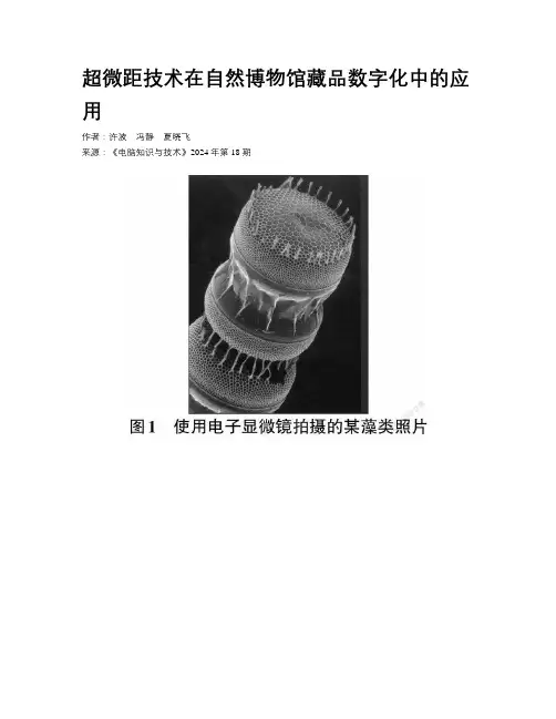 超微距技术在自然博物馆藏品数字化中的应用