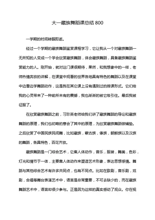 大一藏族舞蹈课总结800