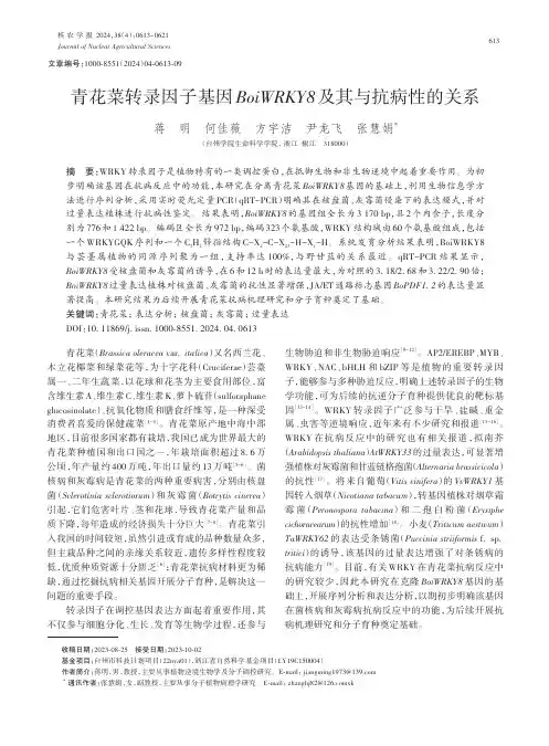 青花菜转录因子基因BoiWRKY8_及其与抗病性的关系