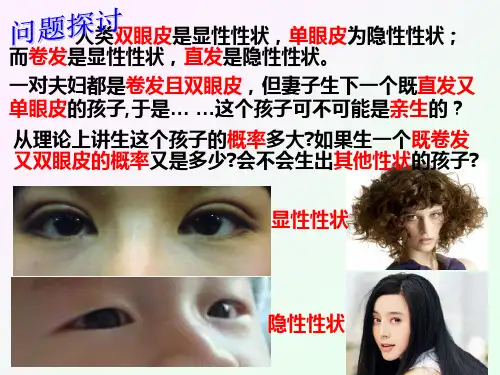 人教版教学课件第一章第二节 孟德尔的豌豆杂交实验(二)