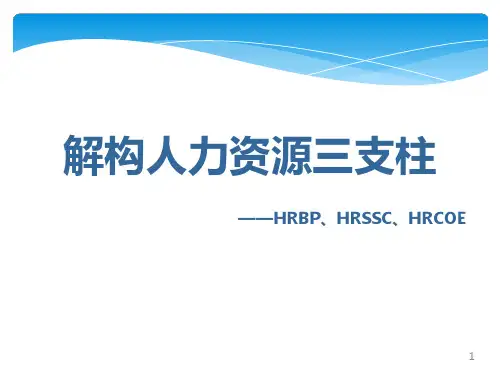解构人力资源三支柱ppt课件