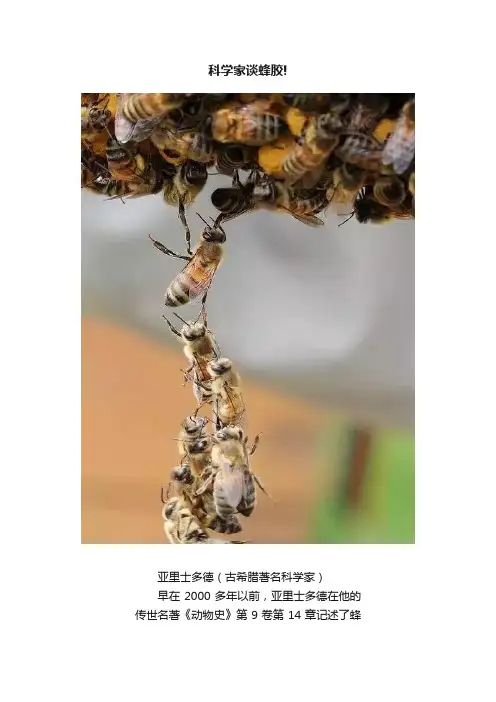 科学家谈蜂胶!