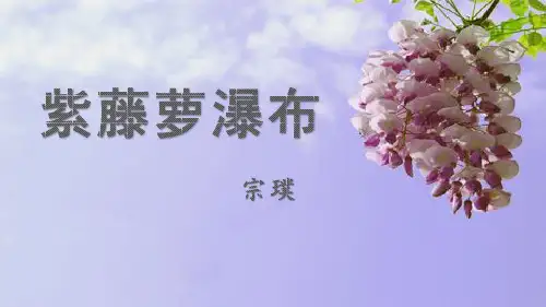 《紫藤萝瀑布》PPT课件