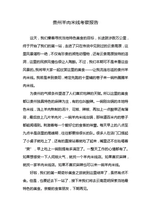 贵州羊肉米线考察报告