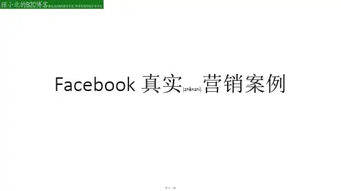 facebook真实营销案例