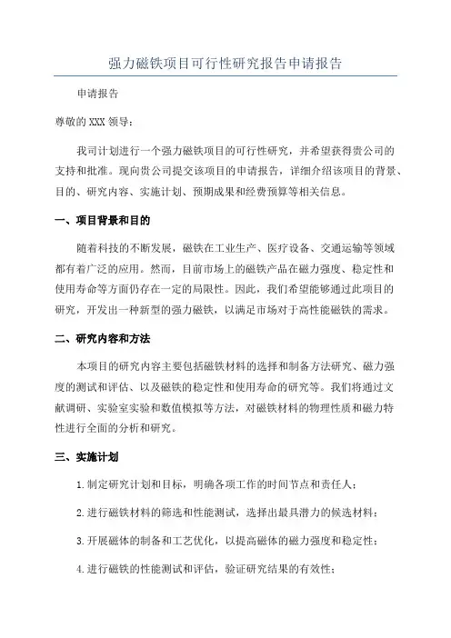 强力磁铁项目可行性研究报告申请报告