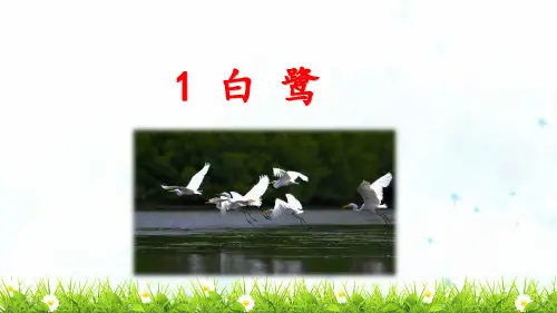 五年级语文上册《白鹭》PPT课件