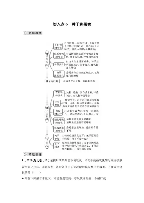 切入点6 种子和果实-2024届高三二轮复习生物学(新教材)