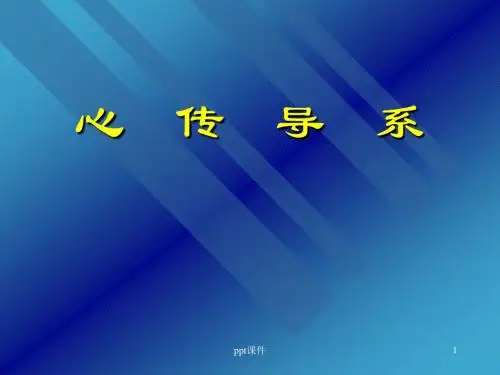 心脏的传导系统  ppt课件