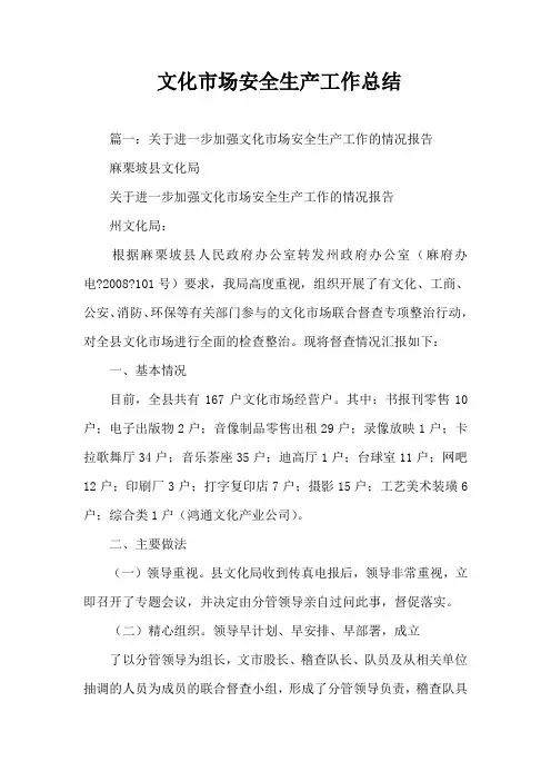 文化市场安全生产工作总结