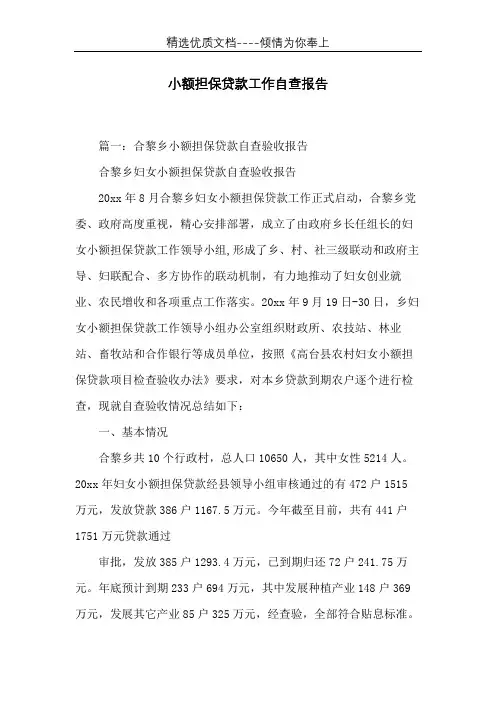 小额担保贷款工作自查报告(共8页)